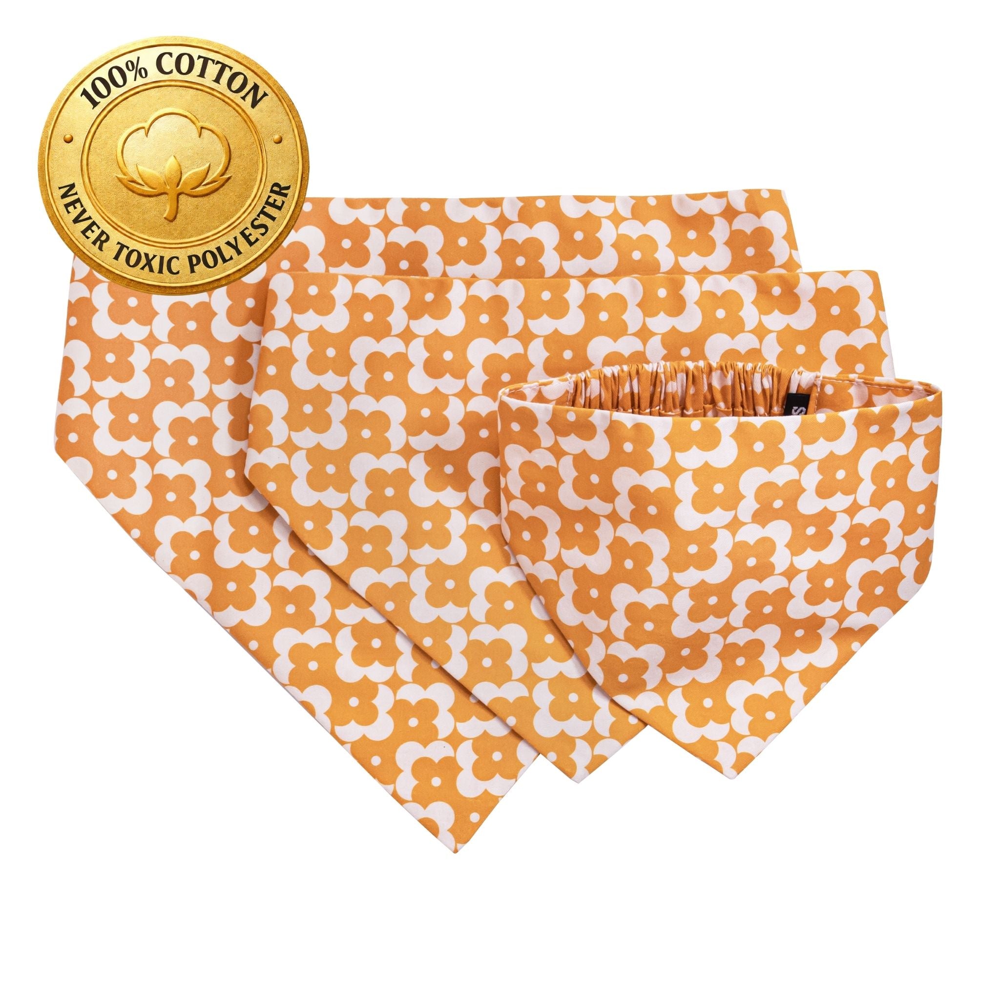 Orange Vector