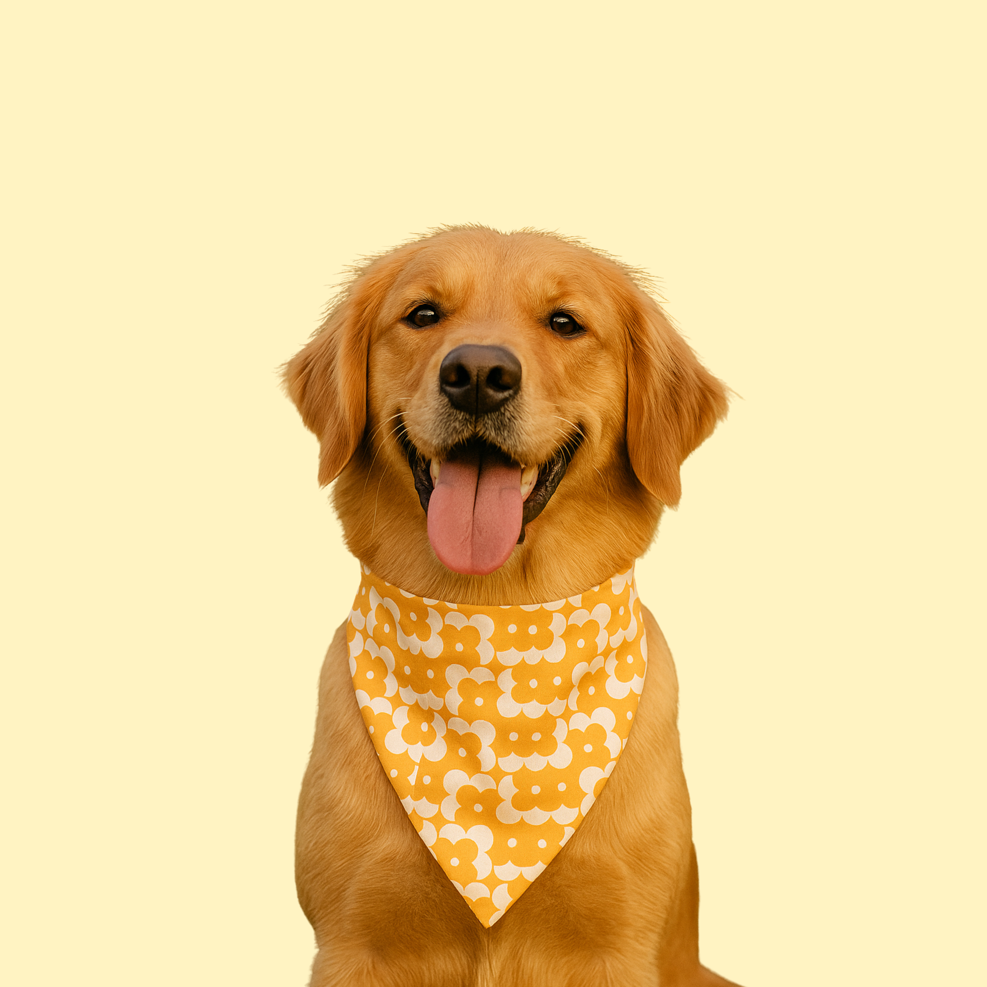 Orange Vector