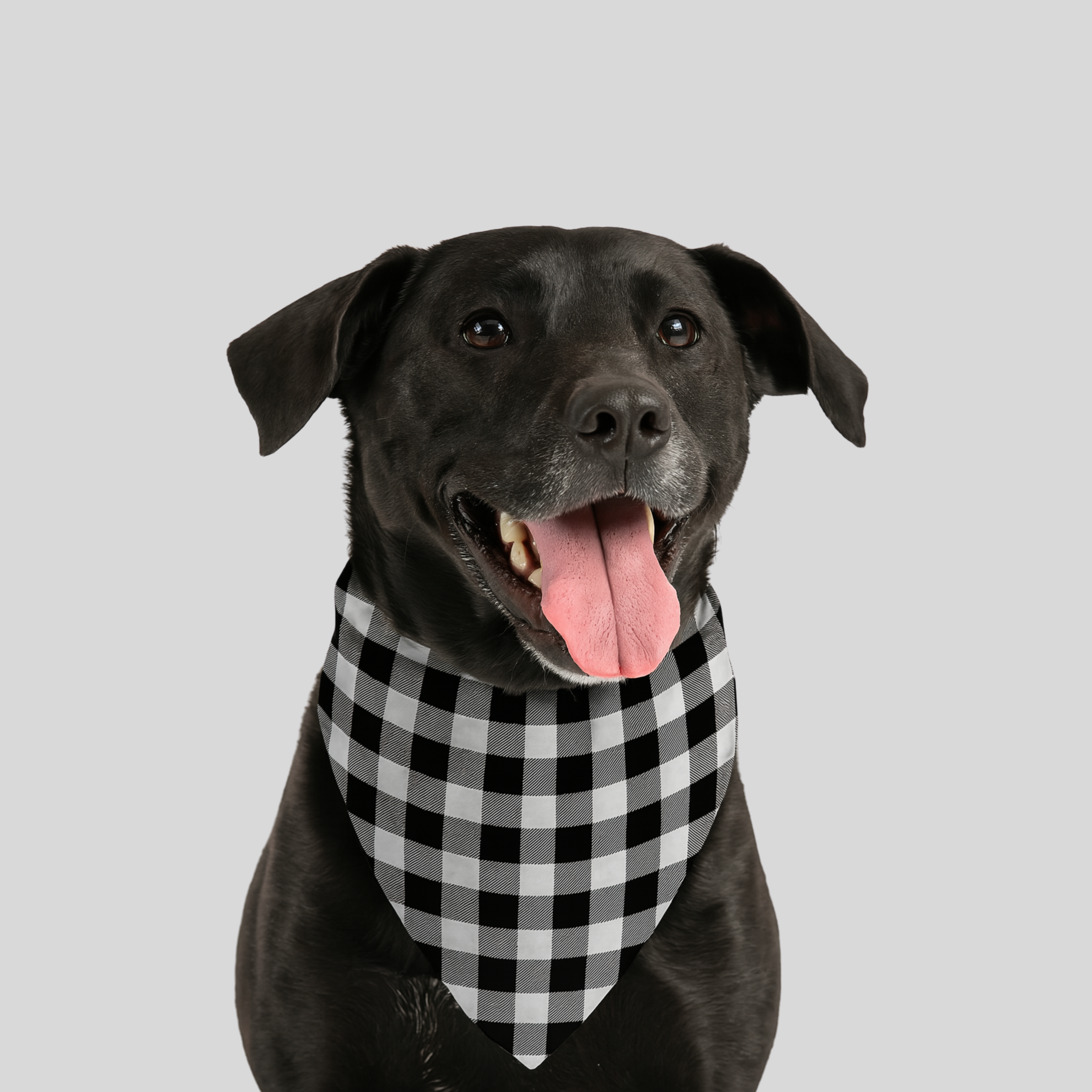 Midnight Flannel