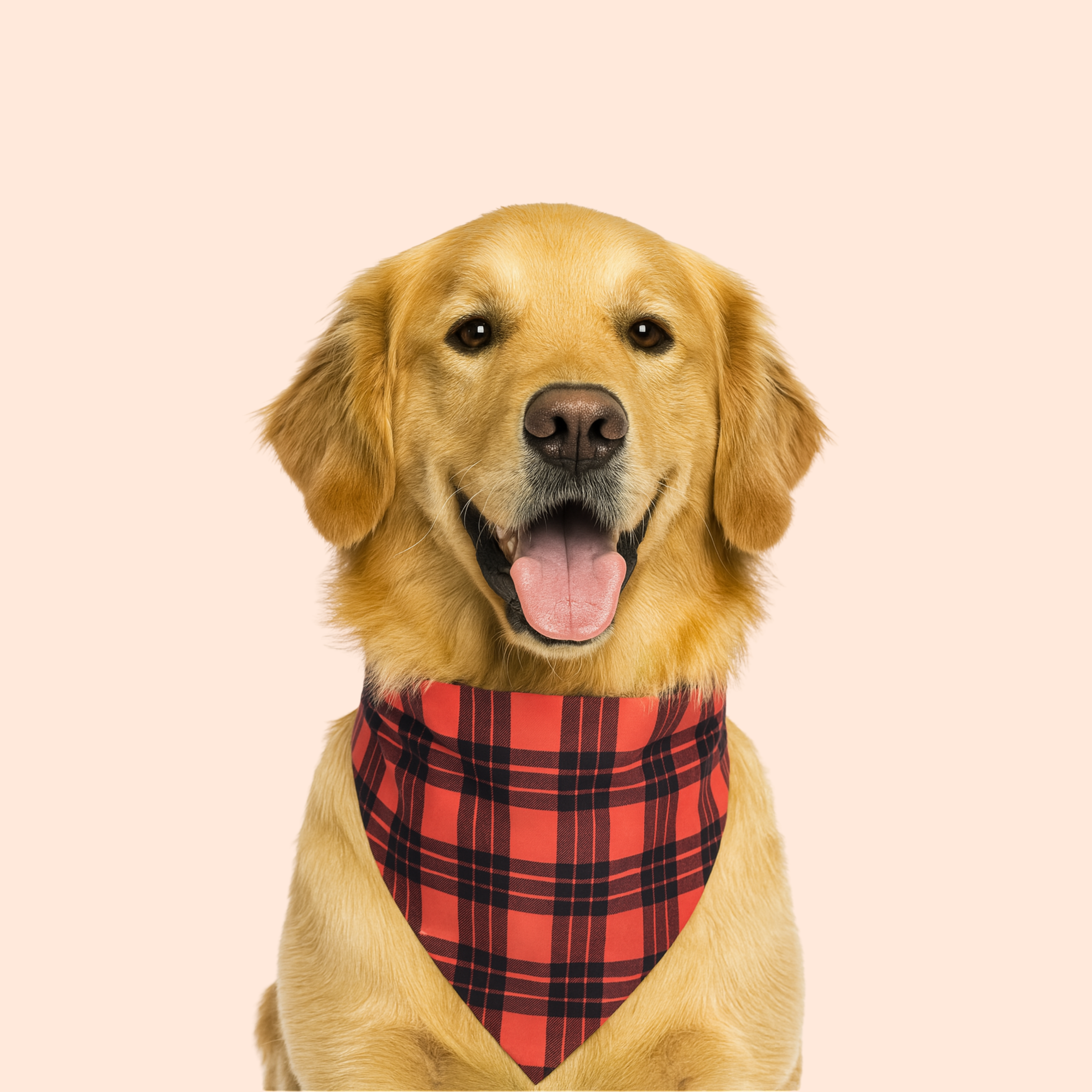 Buffalo Plaid