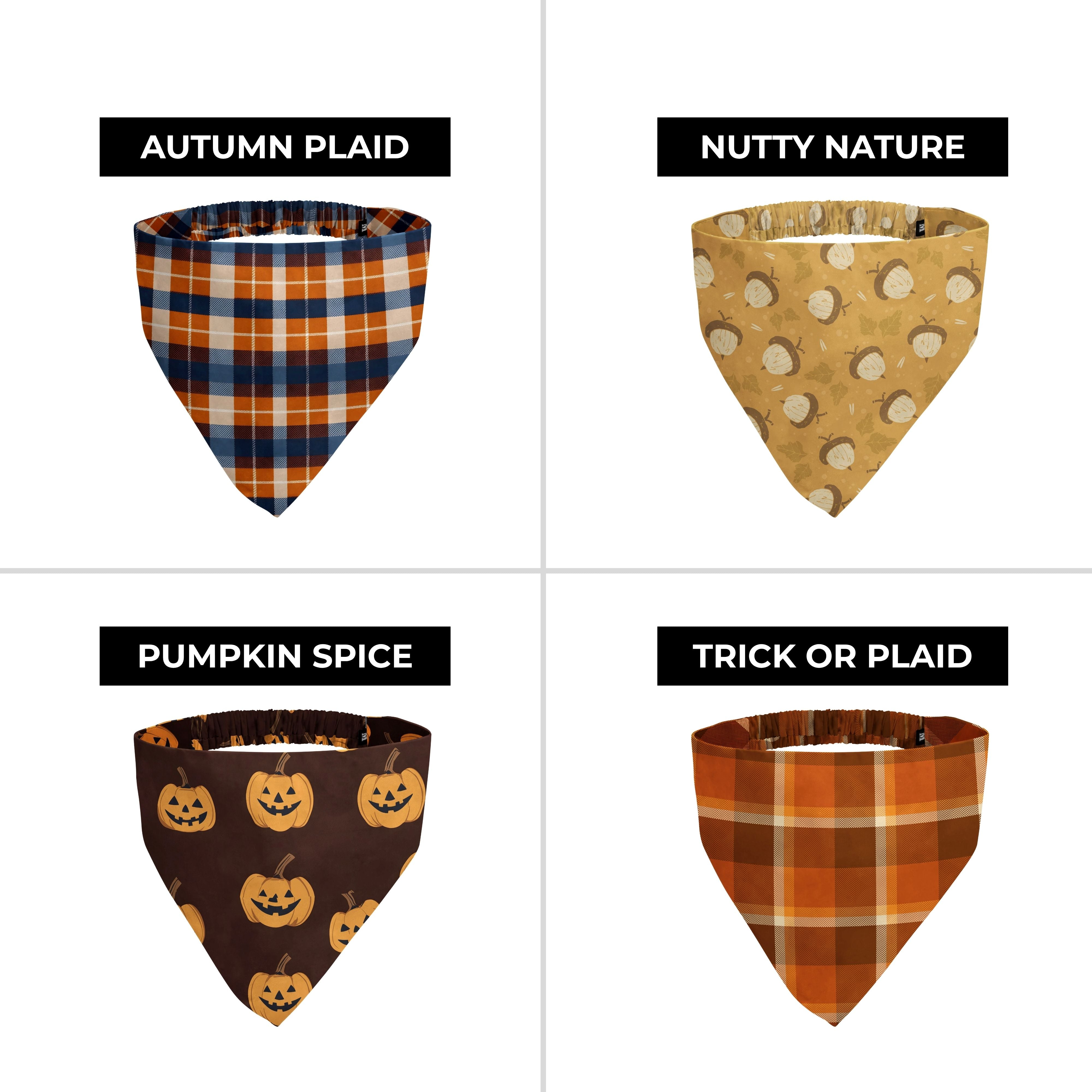 Fall 3-Pack (Build Your Own!)