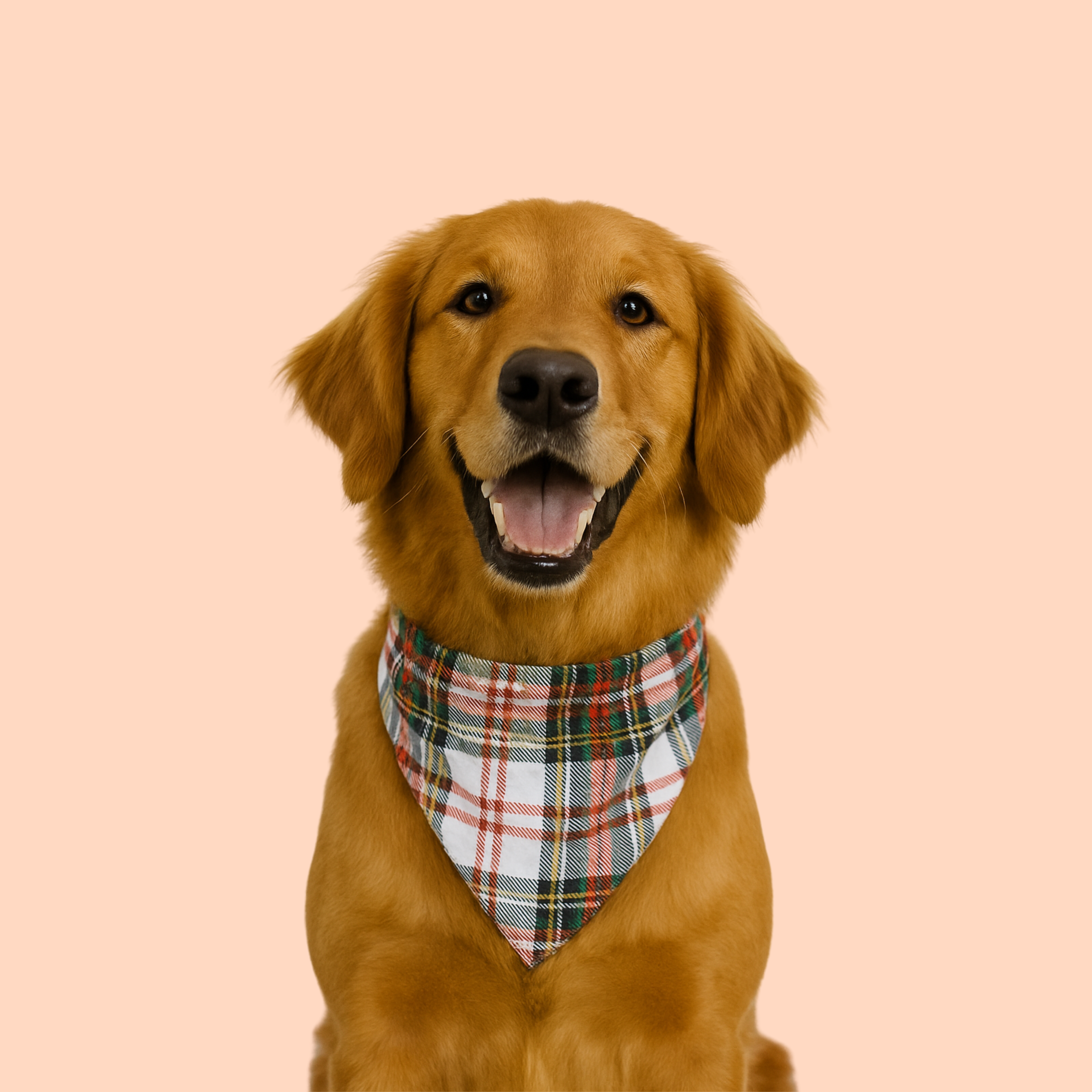 Green Plaid