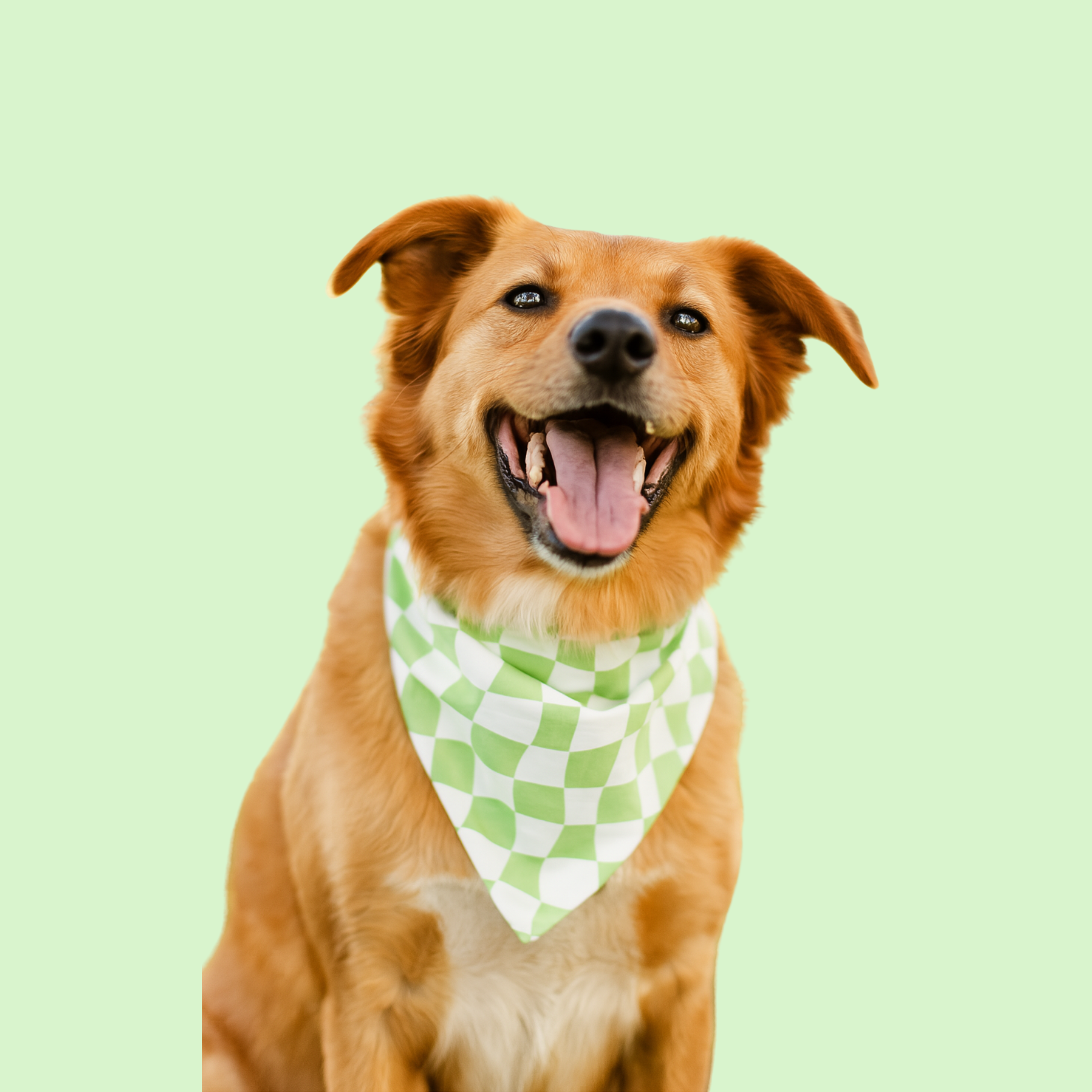 Green Checkers