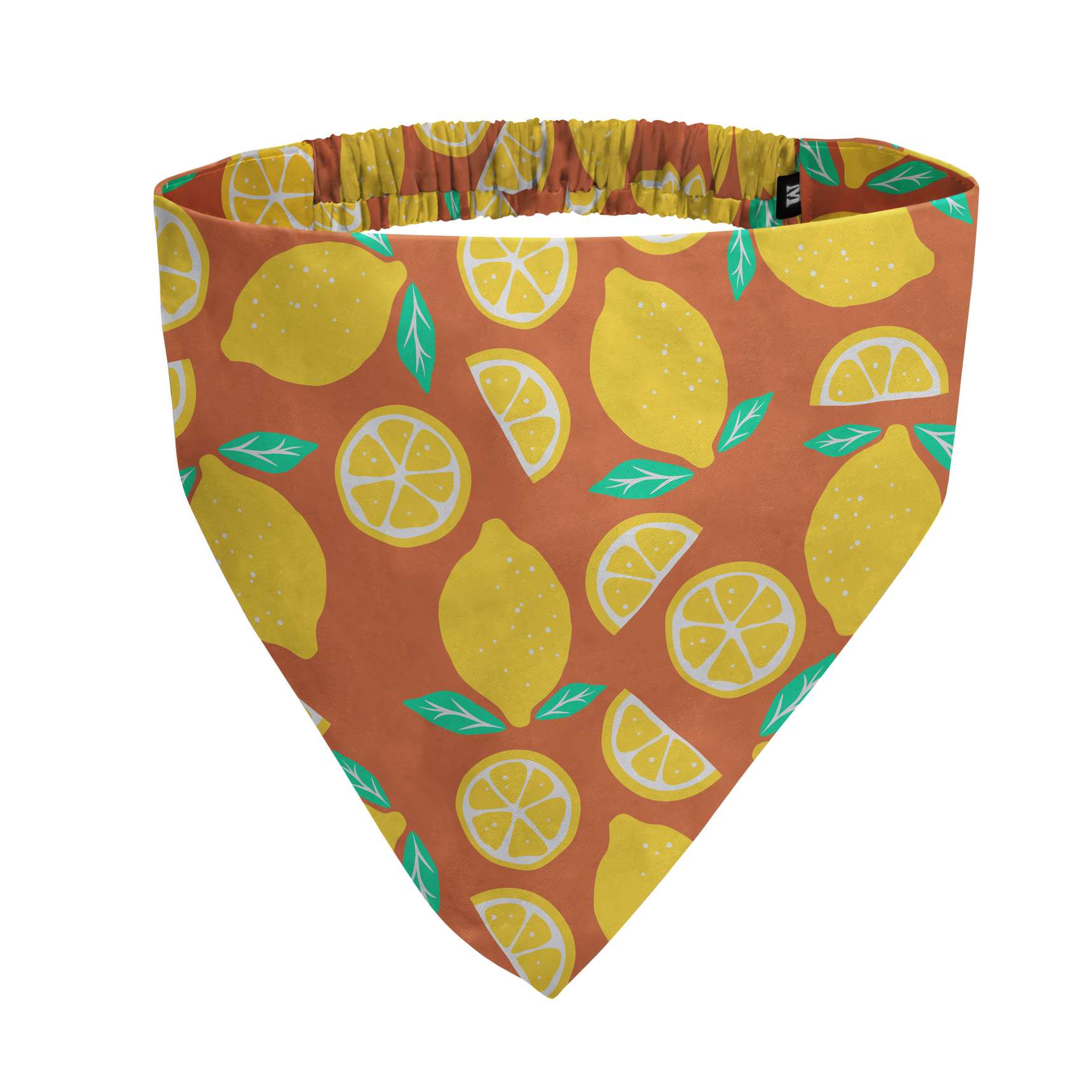 Fruity & Fun